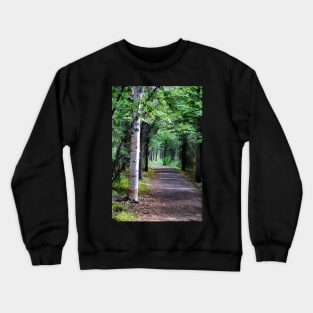 Into the Woods Crewneck Sweatshirt